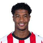 瑞安·弗拉明戈