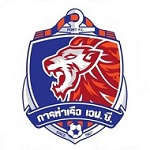 泰港队徽